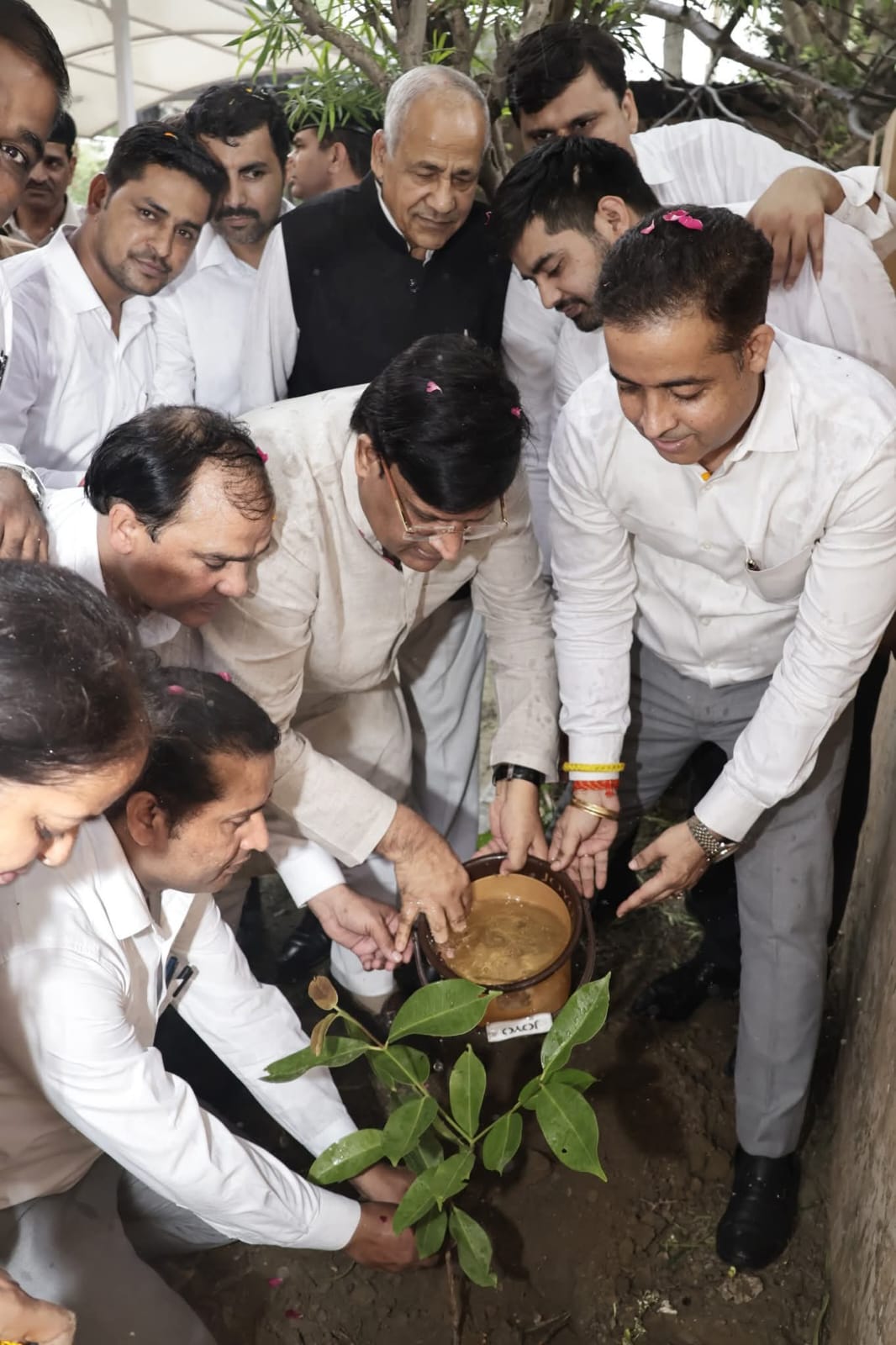 वरिष्ठ पत्रकार के जन्मदिन पर कैबिनेट मंत्री ने वृक्षारोपण कर जन्मदिन की शुभकामनाएं दी मठिया श्रीराम निवासी वरिष्ठ पत्रकार समाजसेवी मोहन तिवारी